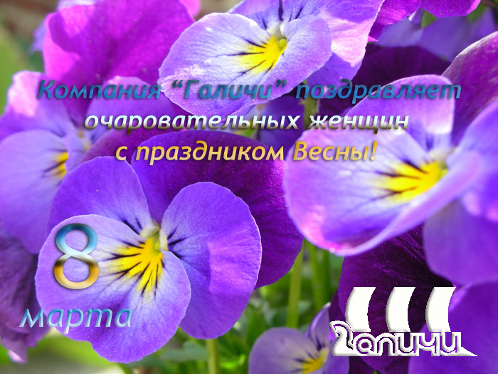 Милые дамы, компания "Галичи" поздравляет Вас с 8 марта! Милые дамы, компания "Галичи" поздравляет Вас с 8 марта!