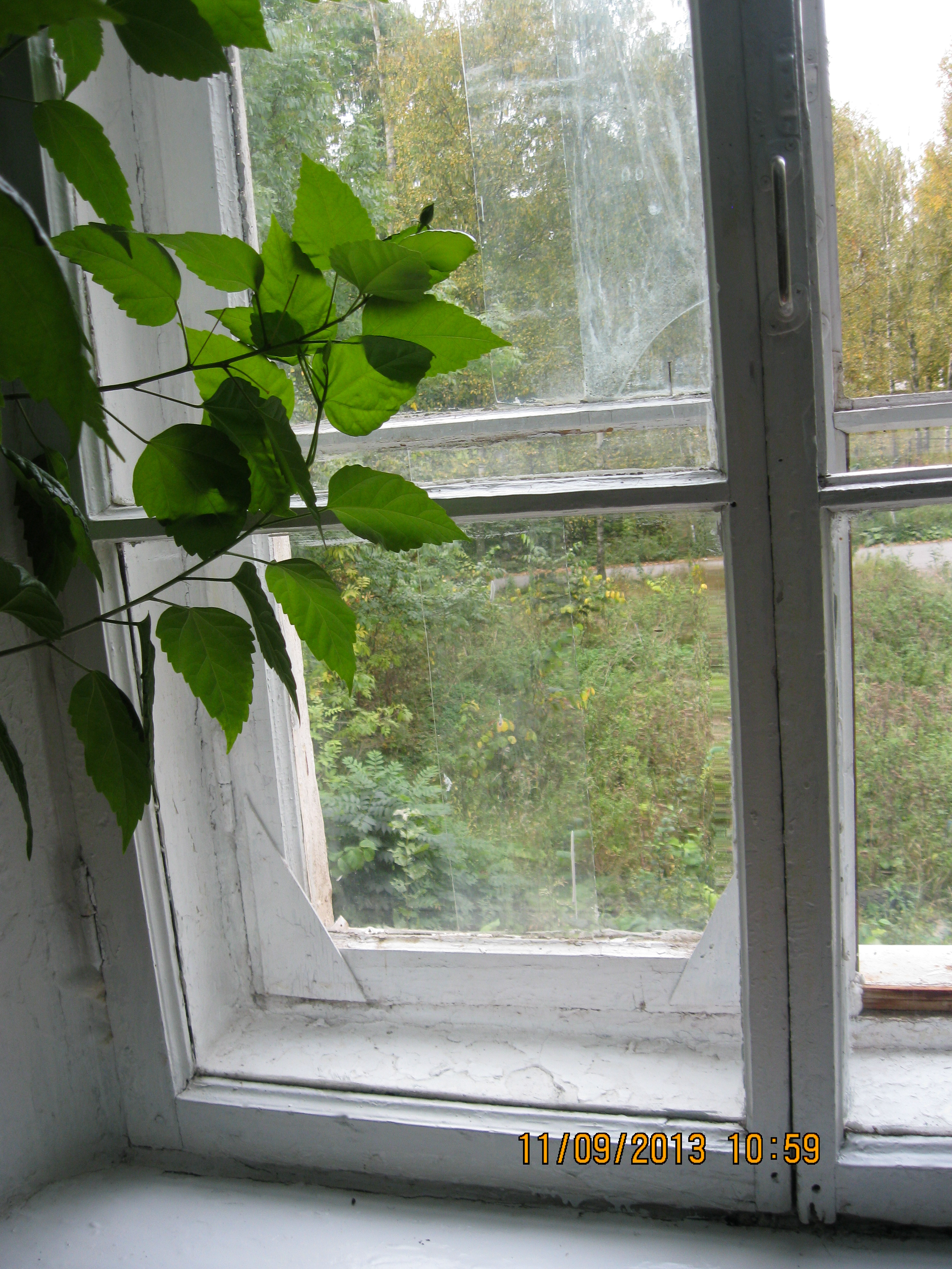 детский сад Кречевицы, фото до замены оконных систем