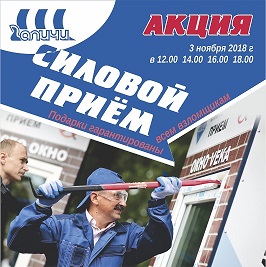 Акция "Силовой прием" 3 ноября 2018 года Акция "Силовой прием" 3 ноября 2018 года