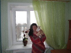 Изображение 006