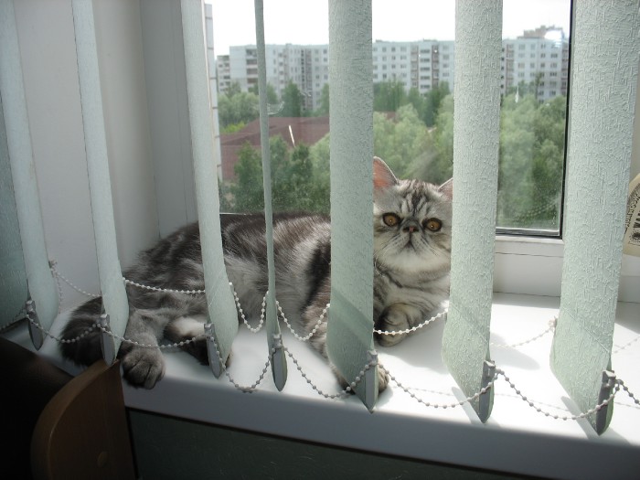 Томпсон